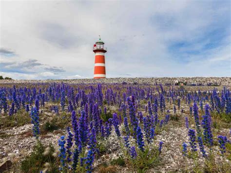 Utforska Gotlands fyrar En guide för besökare